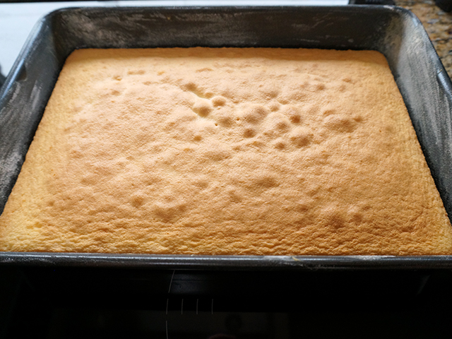 freshly baked genoese sponge