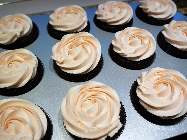 chocolate cupcakes with vanilla frosting